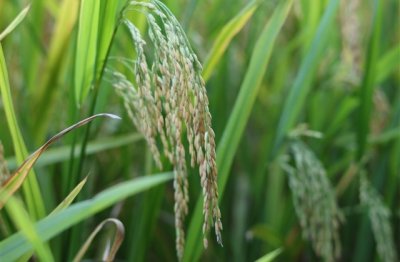 ​降温穿秋裤搞笑朋友圈句子