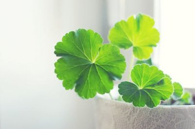 ​抖音能让人狂赞的短句说说(69句)