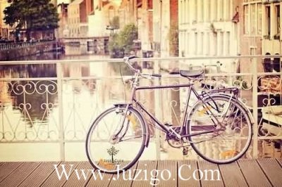 ​描写人物精神的句子17句