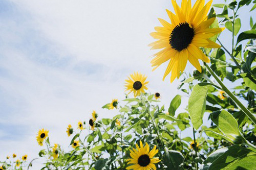 关于奋斗的正能量句子82句