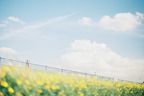 温暖人心的英语句子