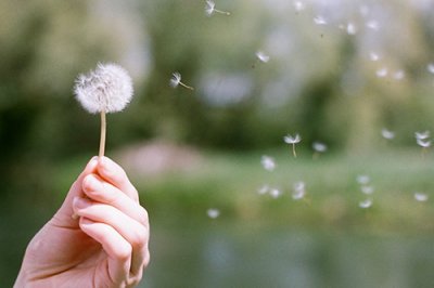 ​对感情深的句子84句