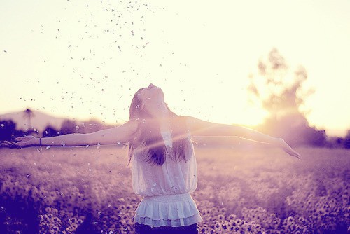 描写太阳花的句子47句