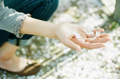 ​有关谷雨节气的文案及谚语谷雨节气文案(精选69句)