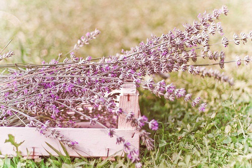 抖音里的励志句子83句