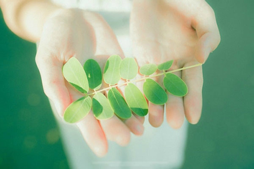 安慰失恋人的句子84句