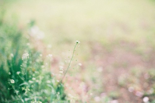 大学毕业生励志名言90句