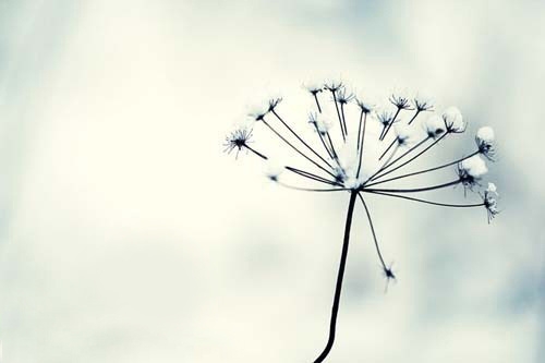 错过机会的句子83句