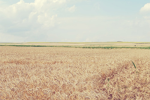 描写夜晚灯光的句子26句