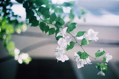 ​夸人的彩虹屁文案句子