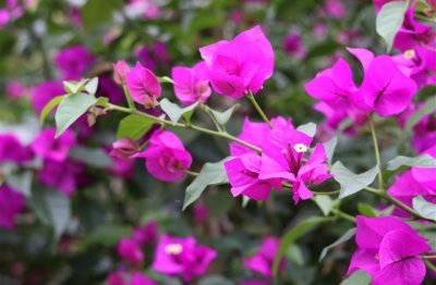 ​简短的男生网名(1257个)