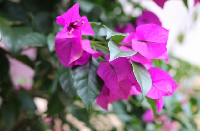 最火的微信名男生排行榜(共1249个) 最火的微信名男生排行榜(共1249个)