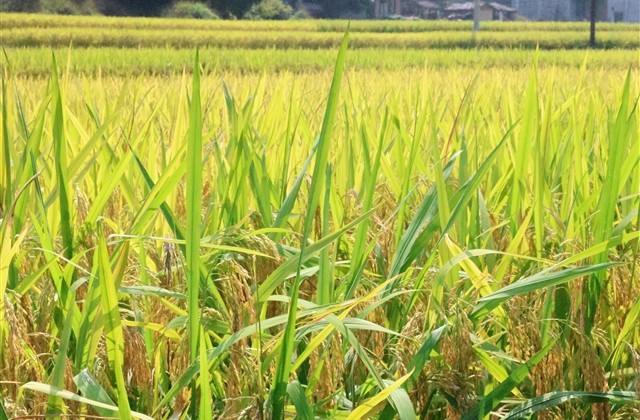 6个字网名好听又吸引人(优选987个) 6个字网名好听又吸引人(优选987个)