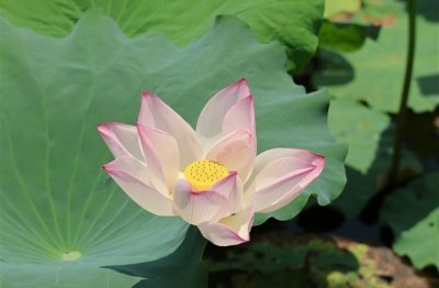 ​6个字网名好听又吸引人(优选987个)