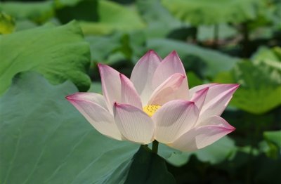 ​2023二字网名(1602个)