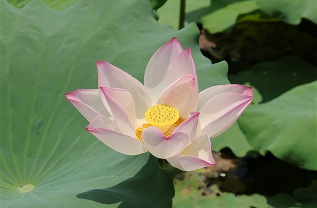 2023二字网名(1602个)