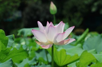 ​四个字的优质游戏名(优选1208个)