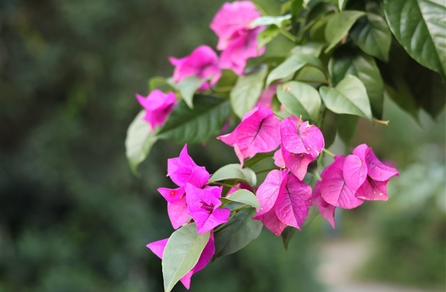 可爱俏皮的网名三个字(1374个)