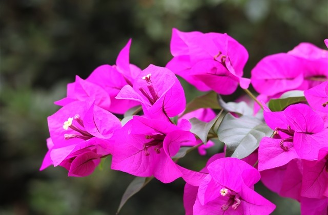 2023干净好听的昵称(928个)