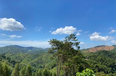 ​2023个性网名男(共918个)