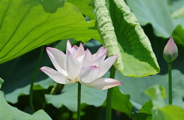 很潮流的略带霸气个性女生网名(779个)