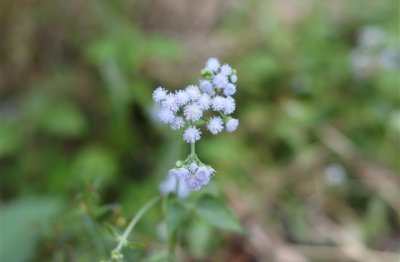 ​很潮流的略带霸气个性女生网名(776个)