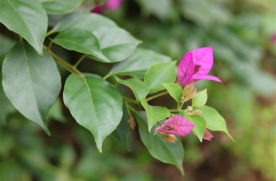 ​优雅有气质的女生名字