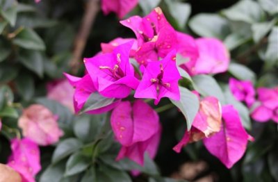 ​网络游戏男名字(780个)