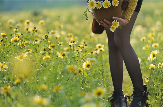 古风意境有诗意的网名精选(761个) 古风意境有诗意的网名精选(761个)