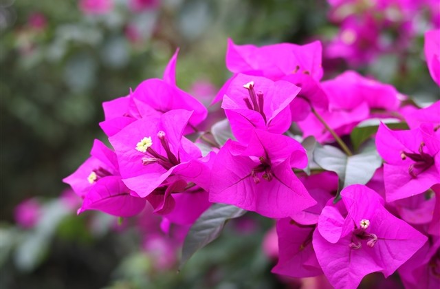 三个字男生诗意游戏名字(优选491个)