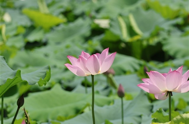 最伤感的两个字的游戏名字大全(精选580个)