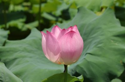 ​简单情侣微信昵称大全(共69个)