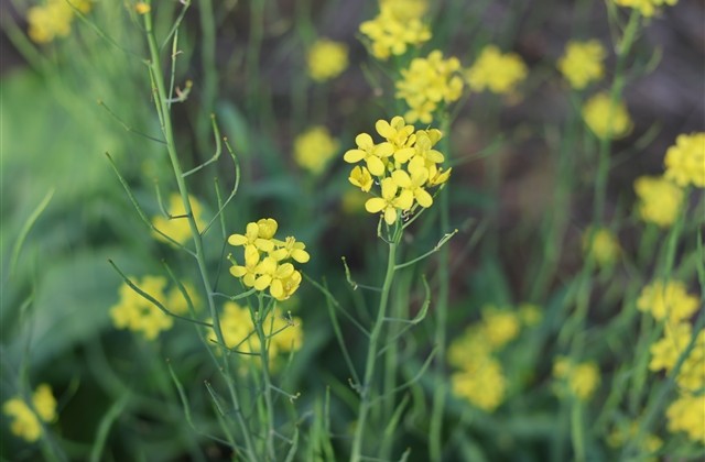 男生的沙雕网名(精选595个)