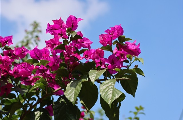 男生的沙雕网名(精选595个)