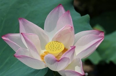 ​很低调的好听的微信网名(精选649个)