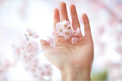 ​关于描写雨的片段88句