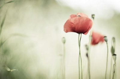 ​逗女孩子开心的短信100句