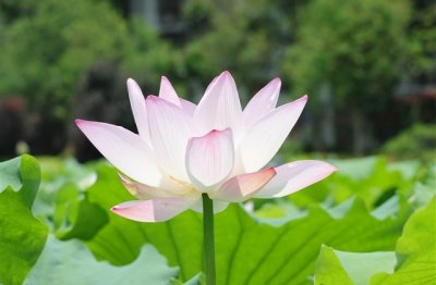 ​今日最新情侣网名(优选341个)