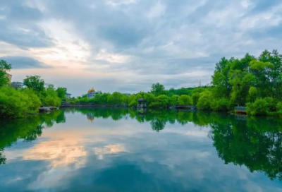 ​关于异国恋的说说240句