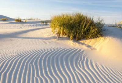 ​关于最后一次机会的说说246句