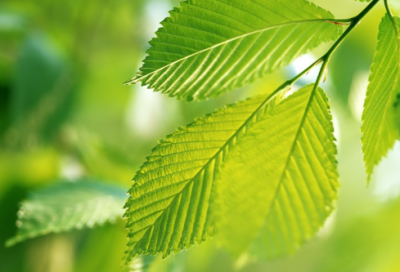 ​厌倦了现在的生活说说220句