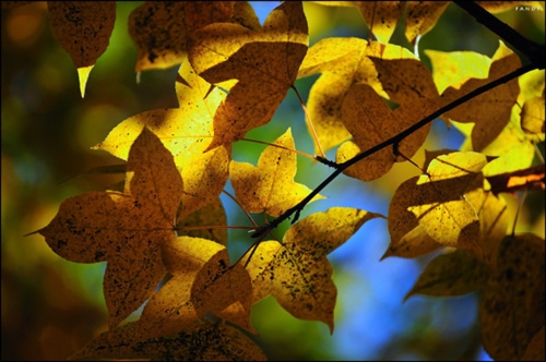 经典名句说说个性签名短句(必备437句)