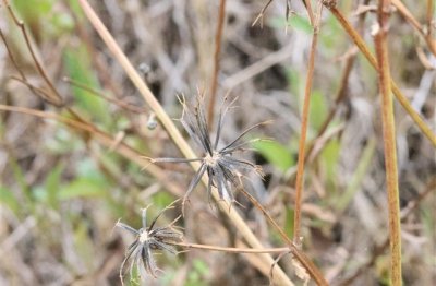 ​2023年浪漫情侣网名一对(共243个)