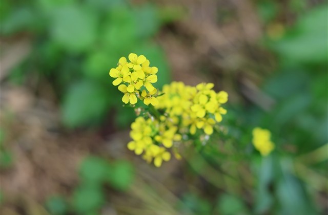 最好的网名字大全女 最好的网名字大全女