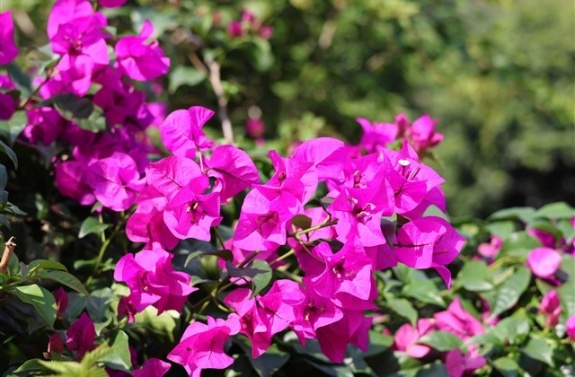 最好的网名字大全女 最好的网名字大全女