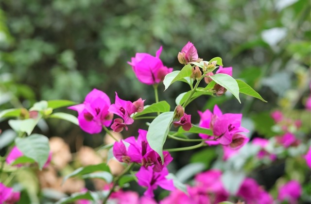 好看好听的游戏名字 好看好听的游戏名字