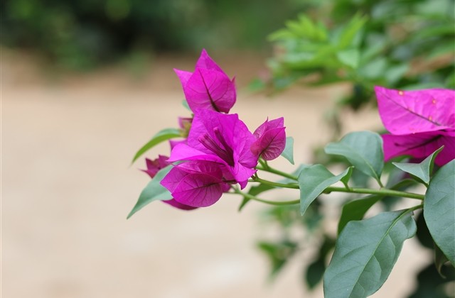 王者名字沙雕精选(优选339个) 王者名字沙雕精选(优选339个)