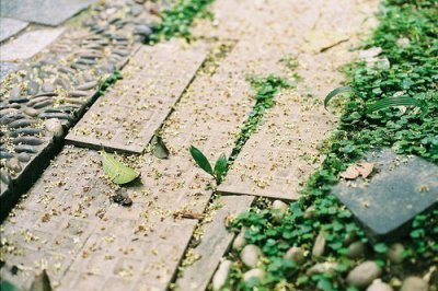 ​端午节冷笑话短信81句