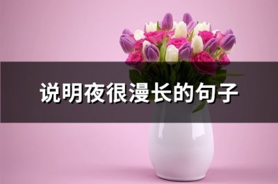 ​说明夜很漫长的句子(热门111句)