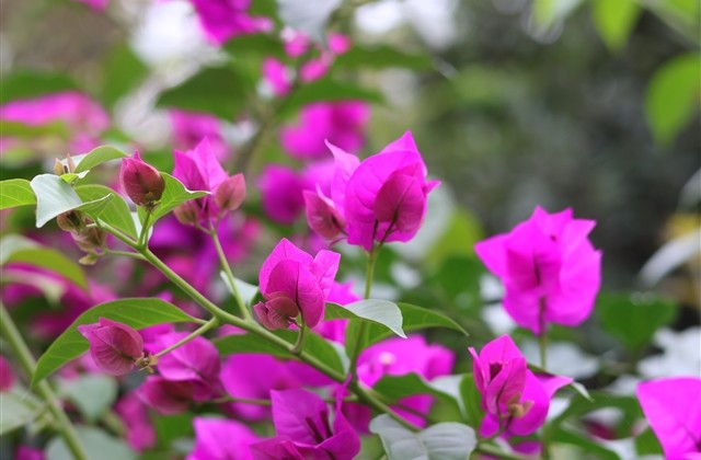 帅哥唯美QQ昵称(精选479个) 帅哥唯美QQ昵称(精选479个)